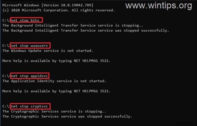 FIX:Windows Update(Windows 10/11)에서 문제가 발생했습니다.