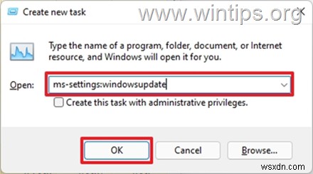 FIX:Windows 10/11에서 시작 메뉴가 작동하지 않습니다. (해결됨)