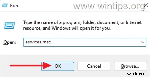 FIX:Windows 11 검색이 작동하지 않고 결과를 반환하지 않습니다.