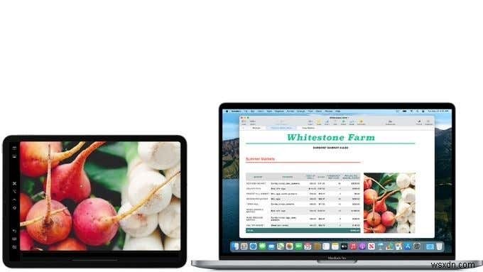 M1 MacBook 대 iPad Pro:그 어느 때보다 힘든 선택