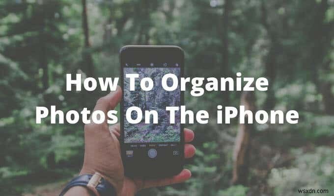 iPhone에서 사진을 정리하는 방법