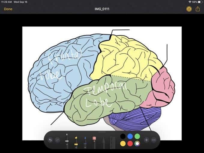 iPad에서 Apple Pencil을 사용하는 방법