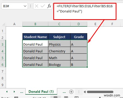 열 값에 따라 Excel 시트를 여러 시트로 분할하는 방법