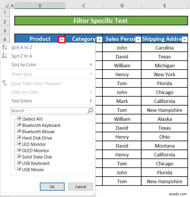 Excel에서 텍스트 필터를 사용하는 방법(5개의 예)