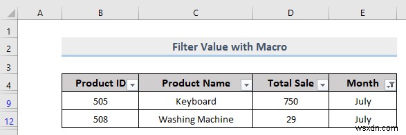 Excel에서 사용자 정의 필터를 수행하는 방법(5가지 방법)