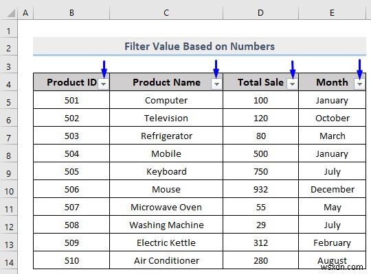 Excel에서 사용자 정의 필터를 수행하는 방법(5가지 방법)
