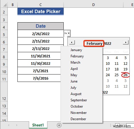 전체 열에 대한 Excel 날짜 선택기