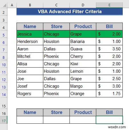 고급 필터 기준이 포함된 Excel VBA 예제(6개 사례)