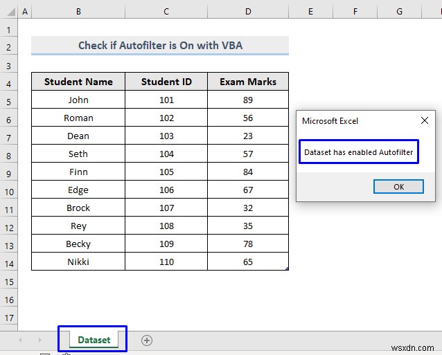 자동 필터가 켜져 있는지 확인하는 Excel VBA(4가지 쉬운 방법)
