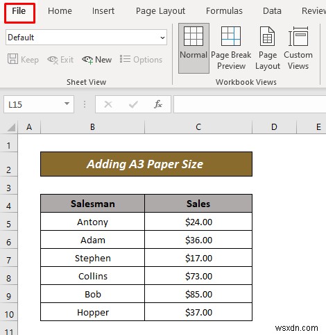 Excel에서 A3 용지 크기를 추가하는 방법(2가지 빠른 방법)