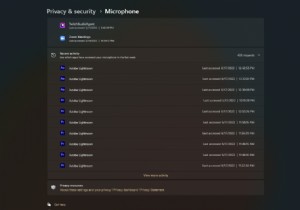 Dev Channel Windows Insider는 설정 앱에서 개인 정보 감사 도구를 테스트할 수 있습니다.