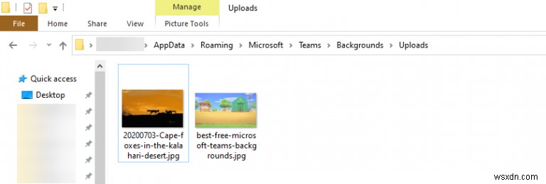 Microsoft Teams에서 Bing 일일 이미지를 사용자 정의 배경으로 사용하는 방법