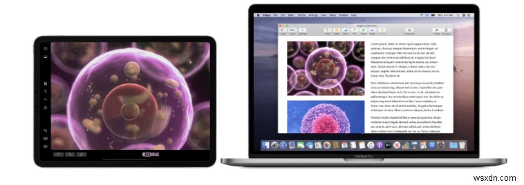 14가지 일반적인 macOS Catalina 문제 및 빠른 수정 사항