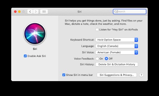 Mac에서 Siri가 응답하지 않는 문제를 해결하는 방법