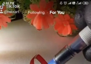 Android 및 iPhone에서 TikTok 동영상을 다운로드하는 방법