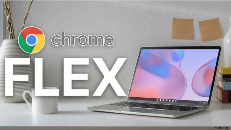 Google Flex 우리 모두가 기다려온 운영 체제