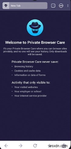 Private Browser Care가 성가신 광고 없이 안전한 브라우징을 허용하는 방법