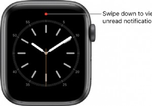 Apple Watch의 Red Dot 알림을 제거하는 방법은 무엇입니까?