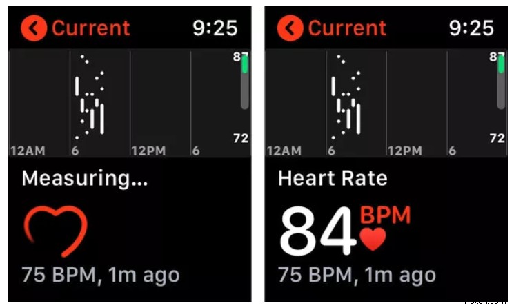 Apple Watch 심박수 모니터에서 기대할 수 있는 것