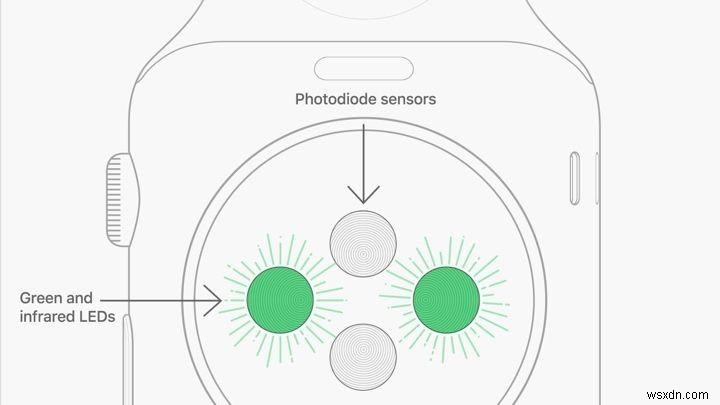 Apple Watch 심박수 모니터에서 기대할 수 있는 것