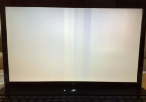 Windows 10의 죽음의 흰색 화면? 어떻게 고칠 수 있나요?