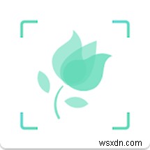 Android 및 iPhone용 최고의 식물 식별 앱 상위 10개