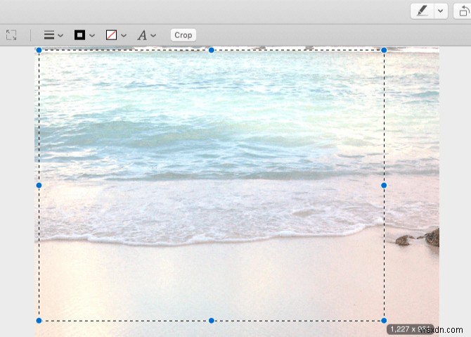 미리보기 앱을 사용하여 Mac에서 사진을 수정하는 방법은 무엇입니까?