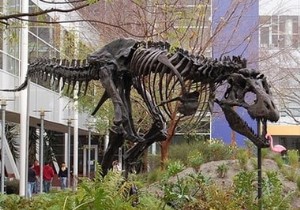 당신이 몰랐던 Google에 대한 놀라운 사실