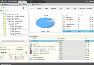 Disk Analyzer Pro:체계적인 방식으로 하드 디스크 내용 표시