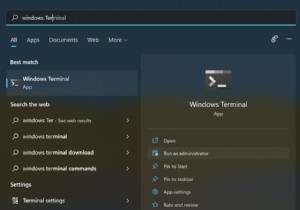 Windows 11에서 기본 터미널을 변경하는 방법
