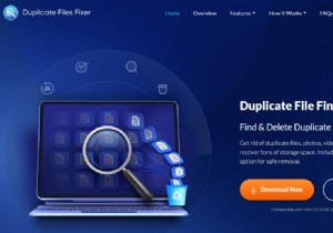 Windows 11에서 중복 파일을 찾고 제거하는 방법은 무엇입니까?