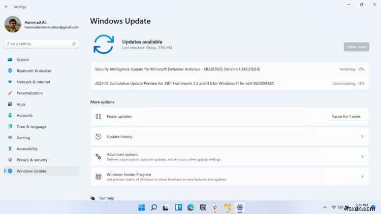 Stray가 Windows 11/10에서 실행되지 않음