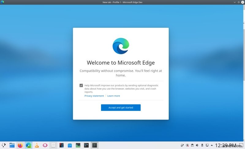 Linux용 Microsoft Edge - 도전자 등장