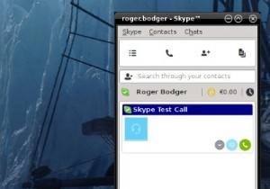 리눅스 Skype 4.3에서 소리가 나지 않을 때 – 원인과 해결 방법