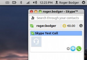 Linux용 Skype 4 검토 - 매우 좋음