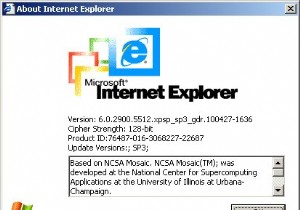 Internet Explorer 6을 폐기해서는 안 되는 이유