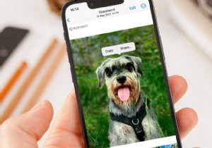 iOS 16의 신기한 사진 컷아웃 기능,  배경에서 피사체 추출  사용법
