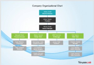 Word, Excel 및 PowerPoint에서 전문 조직도 만들기 – 단계별 가이드 