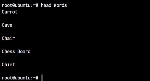 Master Linux:효율적인 시스템 관리를 위한 50개 이상의 필수 명령