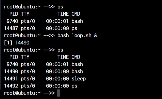 Master Linux:효율적인 시스템 관리를 위한 50개 이상의 필수 명령