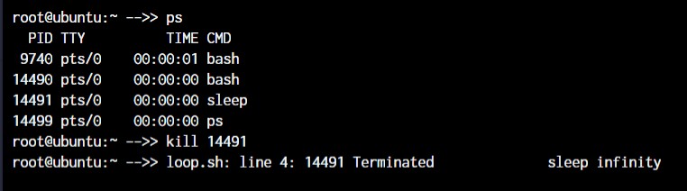 Master Linux:효율적인 시스템 관리를 위한 50개 이상의 필수 명령