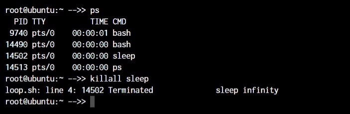 Master Linux:효율적인 시스템 관리를 위한 50개 이상의 필수 명령
