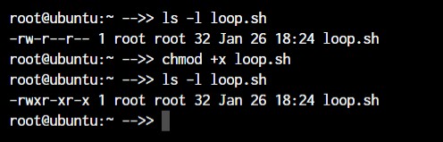 Master Linux:효율적인 시스템 관리를 위한 50개 이상의 필수 명령