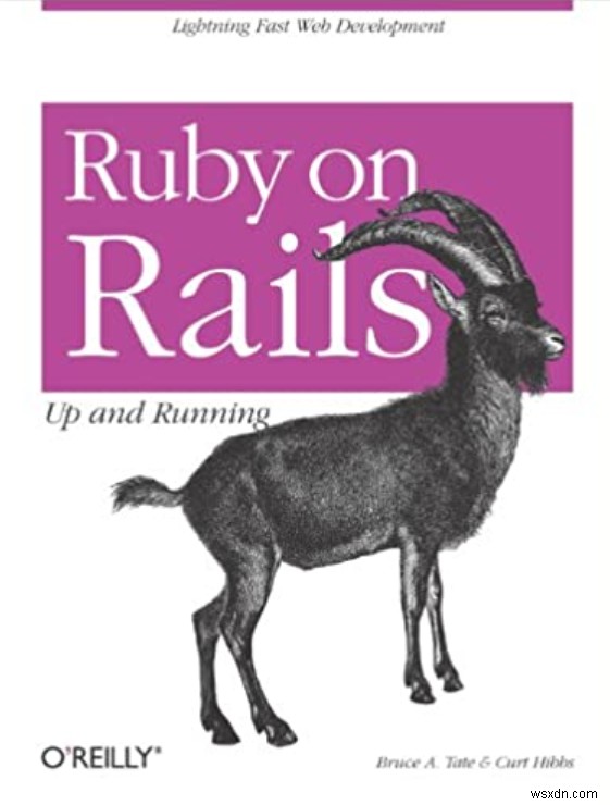 Ruby on Rails 마스터하기:프레임워크 학습을 위한 종합 가이드 