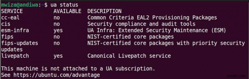Ubuntu LTS가 안정성과 장기 지원 측면에서 일반 릴리스를 능가하는 이유 