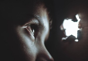 WSL용 Ubuntu 미리 보기를 사용하여 Windows에서 Ubuntu Daily 빌드 실행 