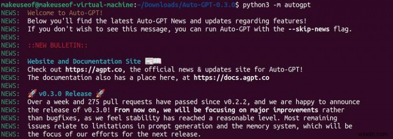 Ubuntu에서 Auto-GPT 설치 및 구성에 대한 단계별 가이드 