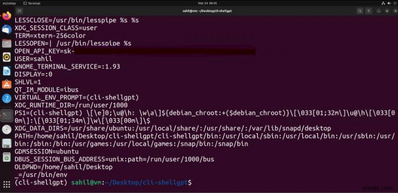 ShellGPT를 사용하여 Ubuntu 터미널에서 ChatGPT 실행:빠른 설정 가이드 