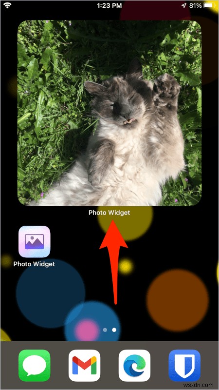 iOS 사진 위젯 사용자 정의:홈 화면에 가장 좋아하는 이미지를 선택하세요 