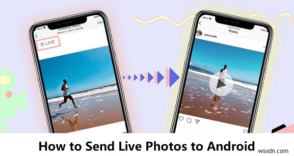 모션 및 사운드를 유지하면서 iPhone에서 Android로 라이브 사진 전송 
